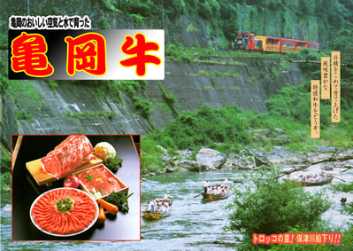 亀岡牛