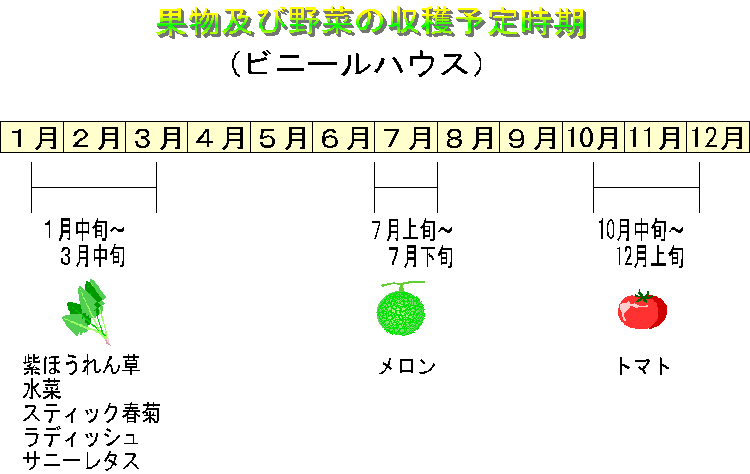 年ハウス予定